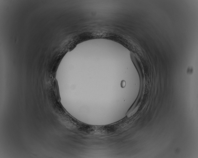 X0000089400601200707131741