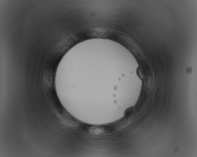 X0000089400602200707131741