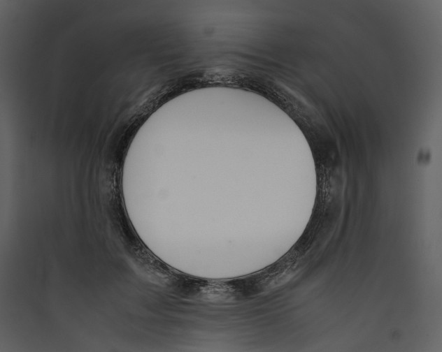 X0000089400603200707131741