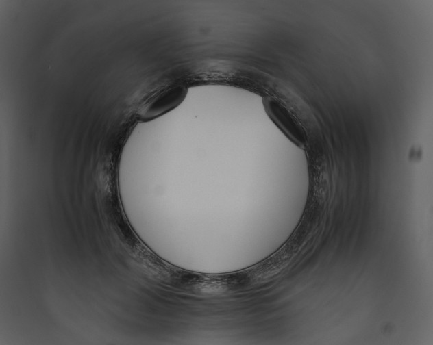 X0000089400604200707131741
