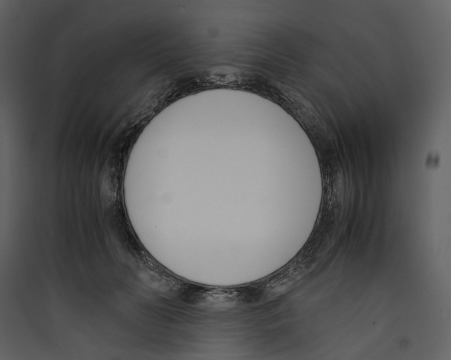X0000089400606200707131741