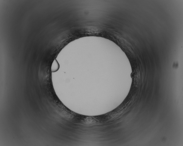 X0000089400608200707131741
