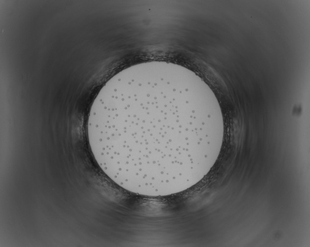 X0000089400610200707131741