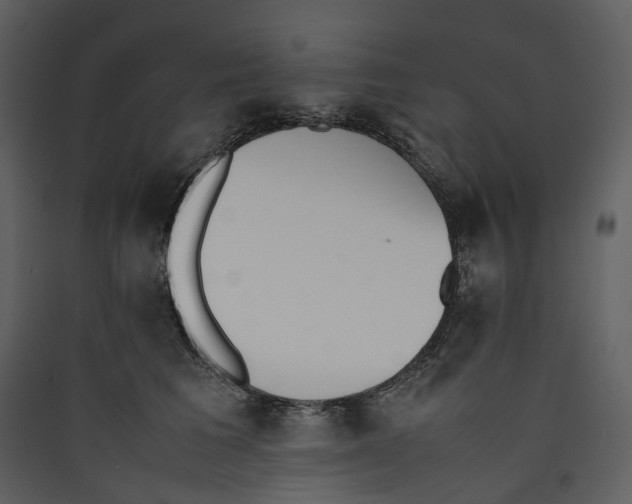 X0000089400613200707131741