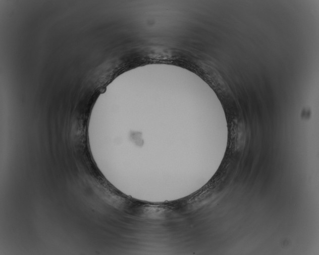X0000089400614200707131741