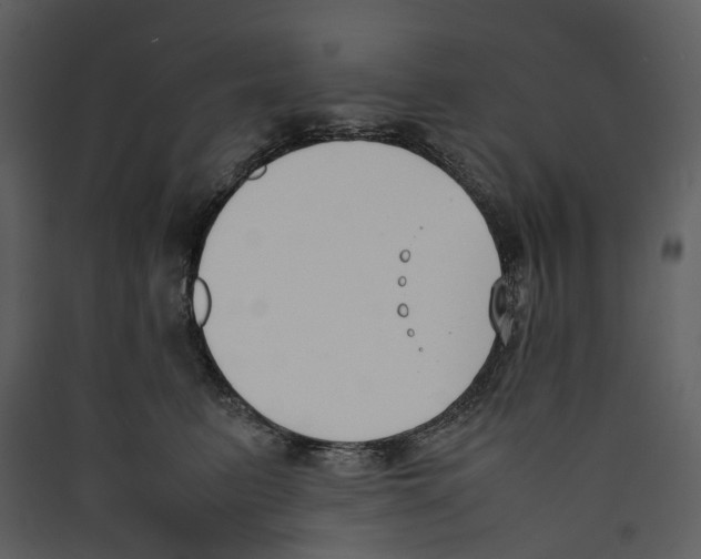 X0000089400615200707131741