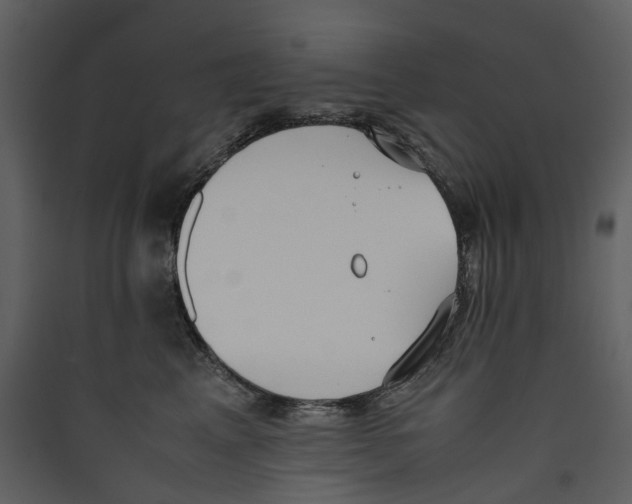 X0000089400617200707131741