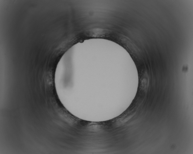 X0000089400620200707131741