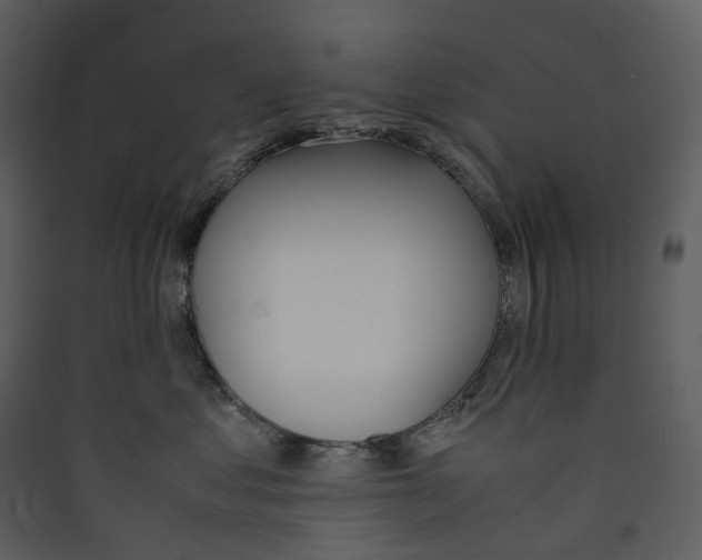 X0000089400621200707131741