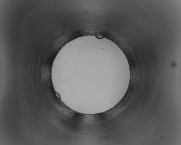 X0000089400623200707131741
