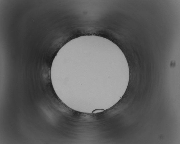 X0000089400624200707131741