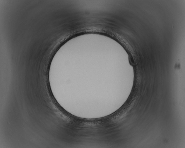 X0000089400625200707131740
