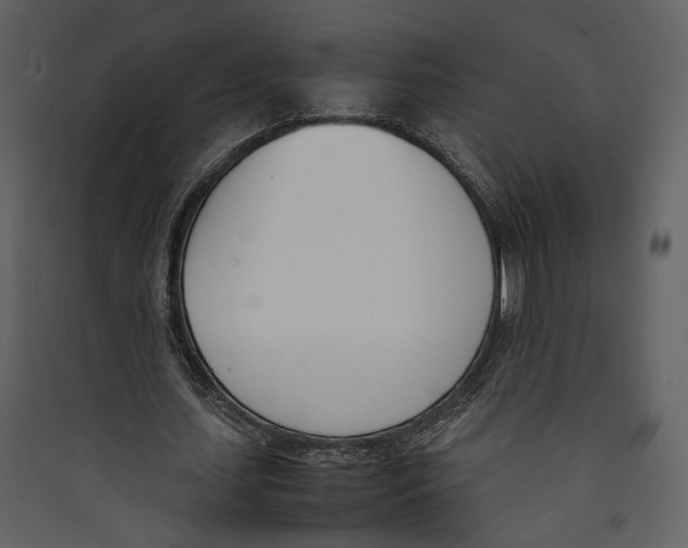 X0000089400627200707131740