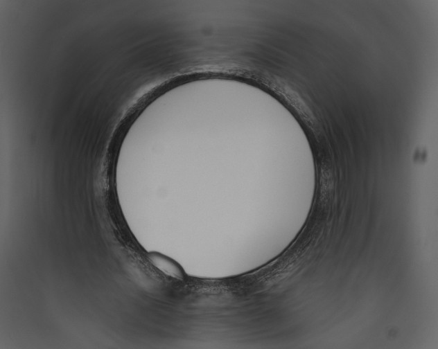X0000089400628200707131740