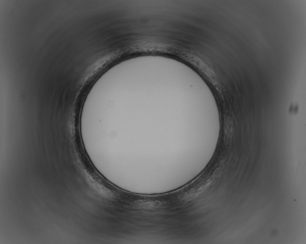X0000089400629200707131740