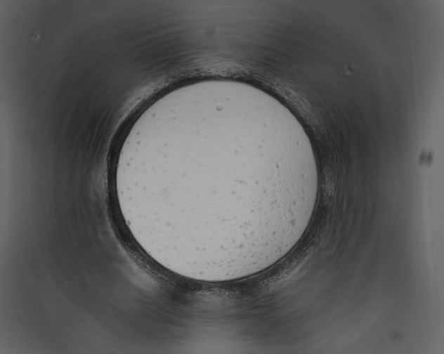 X0000089400630200707131740