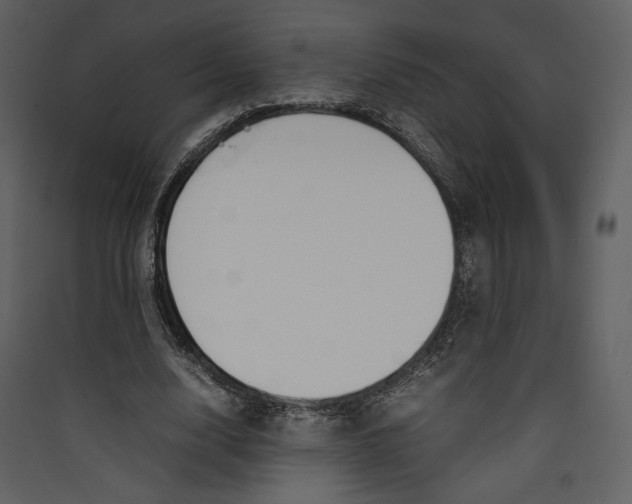 X0000089400632200707131740