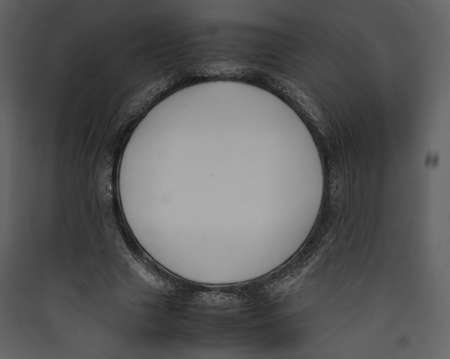 X0000089400633200707131740