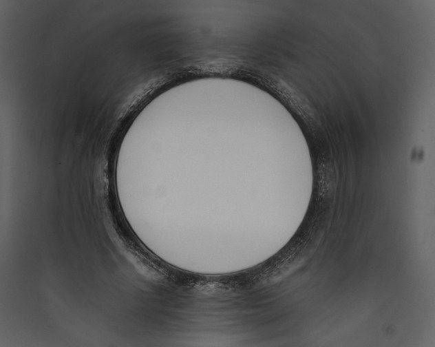 X0000089400634200707131740