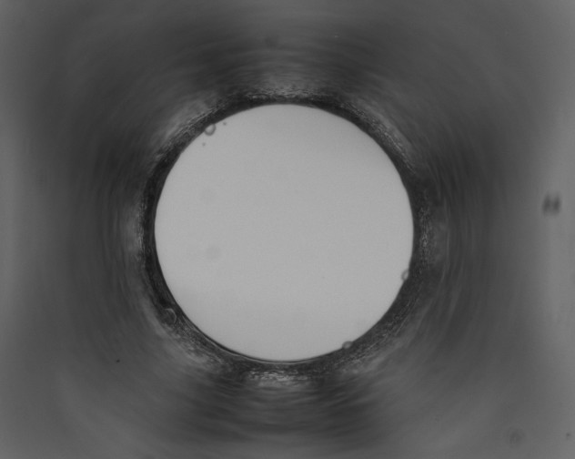 X0000089400635200707131741