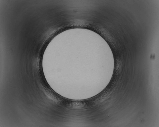 X0000089400636200707131741
