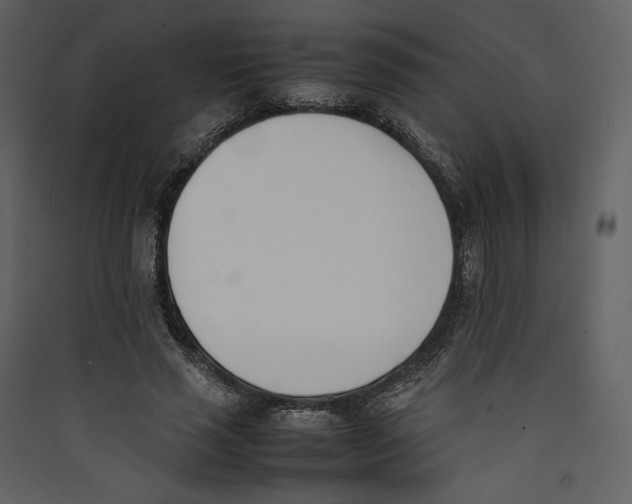 X0000089400637200707131741