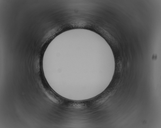 X0000089400638200707131741