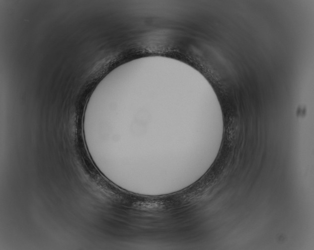 X0000089400639200707131741