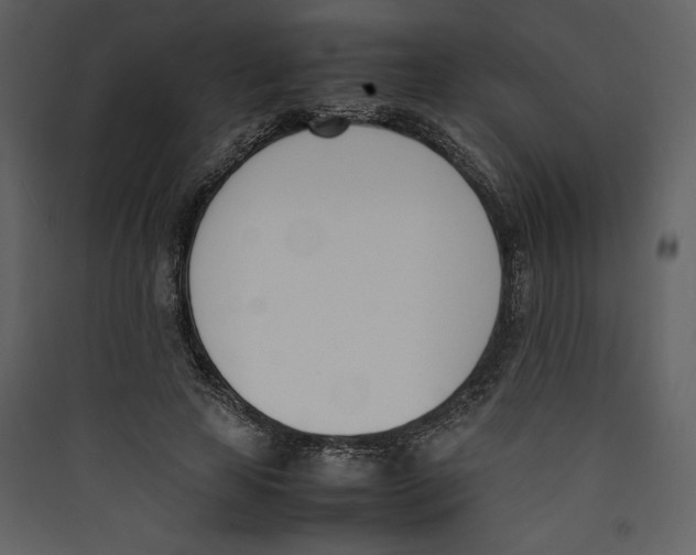 X0000089400641200707131741
