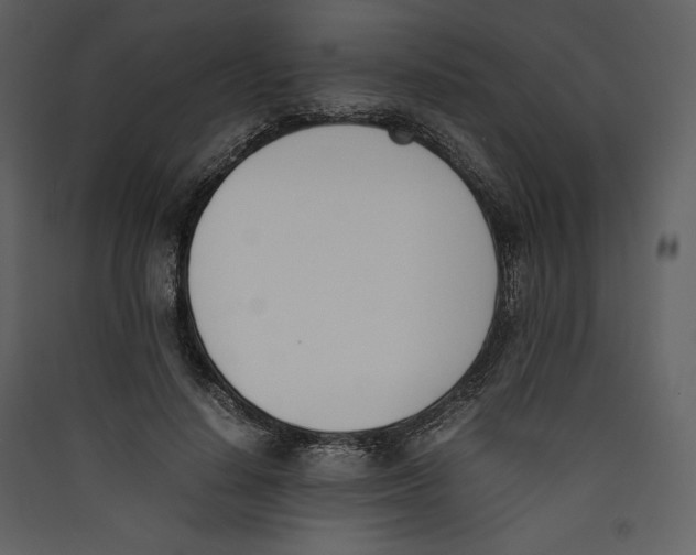 X0000089400644200707131741