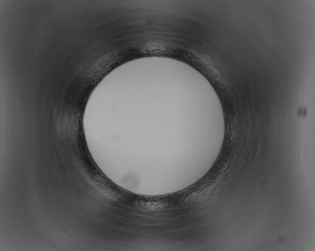 X0000089400645200707131741