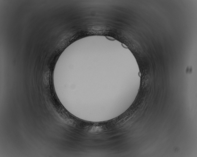 X0000089400647200707131741