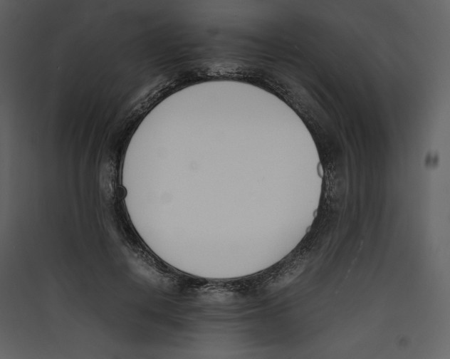 X0000089400648200707131741