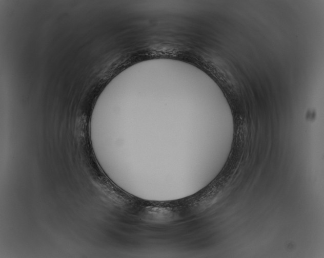 X0000089400649200707131741