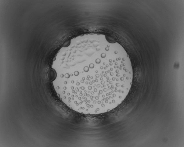 X0000089400650200707131741