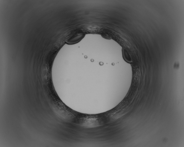 X0000089400651200707131741