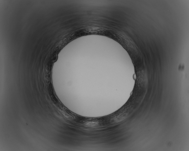 X0000089400653200707131741