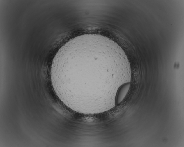 X0000089400654200707131741