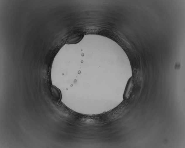 X0000089400655200707131741