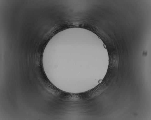 X0000089400656200707131741