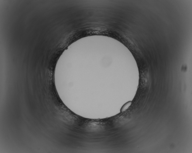 X0000089400657200707131741