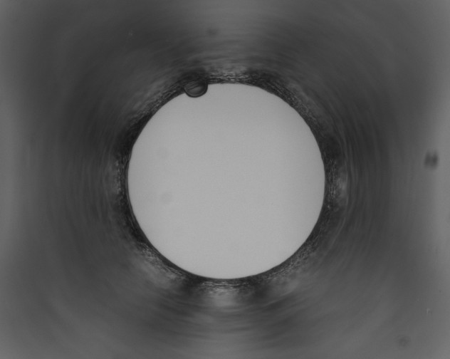 X0000089400658200707131741