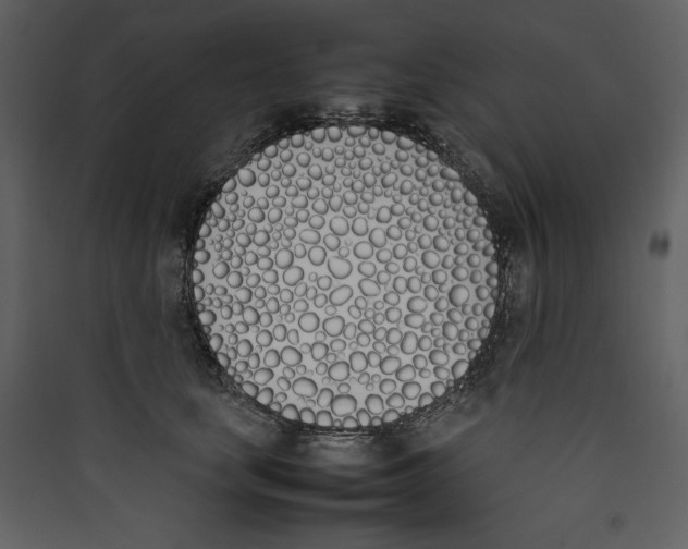 X0000089400659200707131741