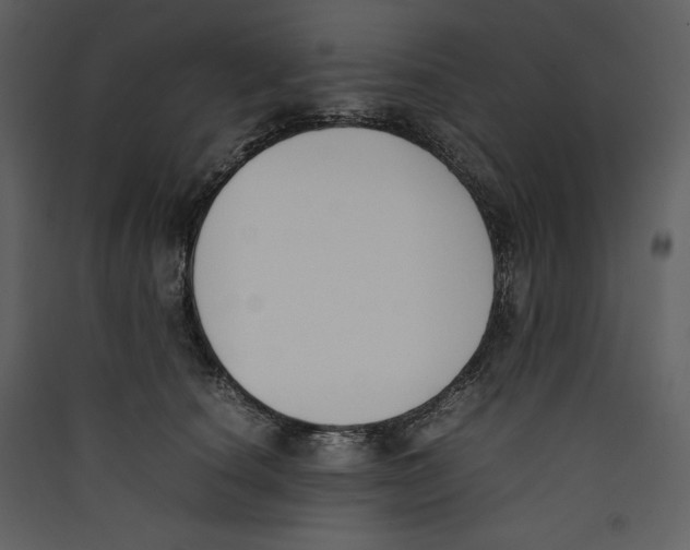 X0000089400660200707131741