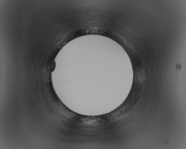 X0000089400661200707131741