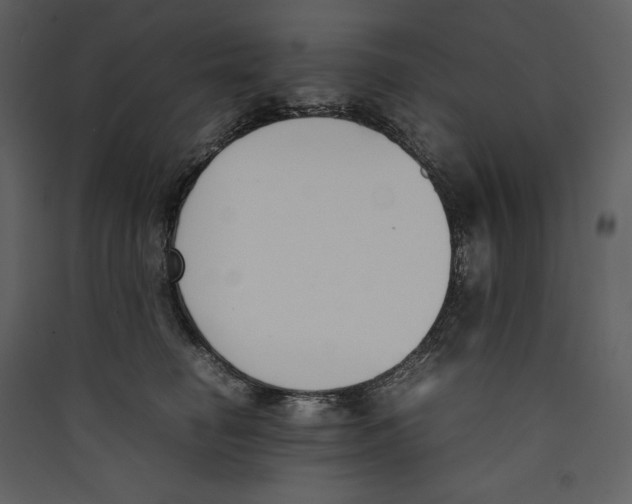 X0000089400662200707131741