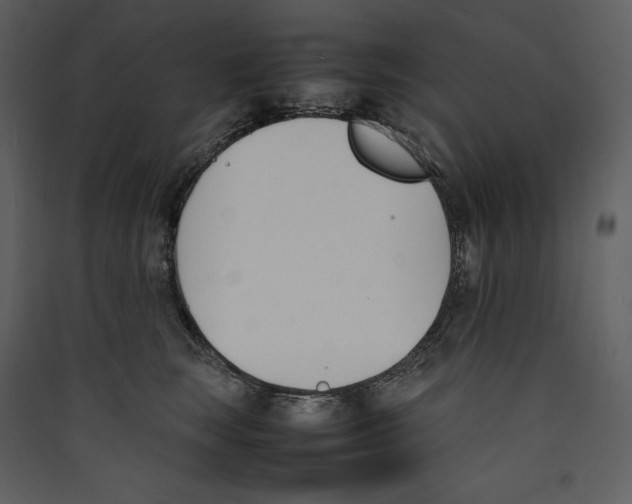 X0000089400663200707131741