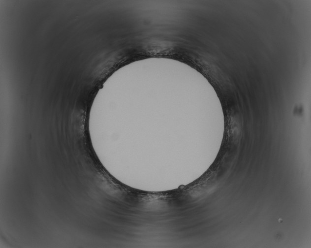 X0000089400664200707131741