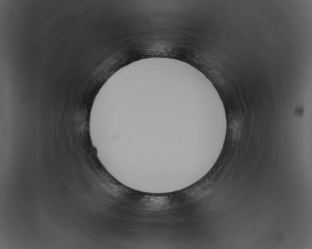 X0000089400665200707131741