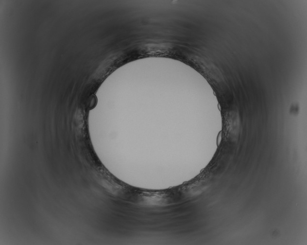 X0000089400667200707131741